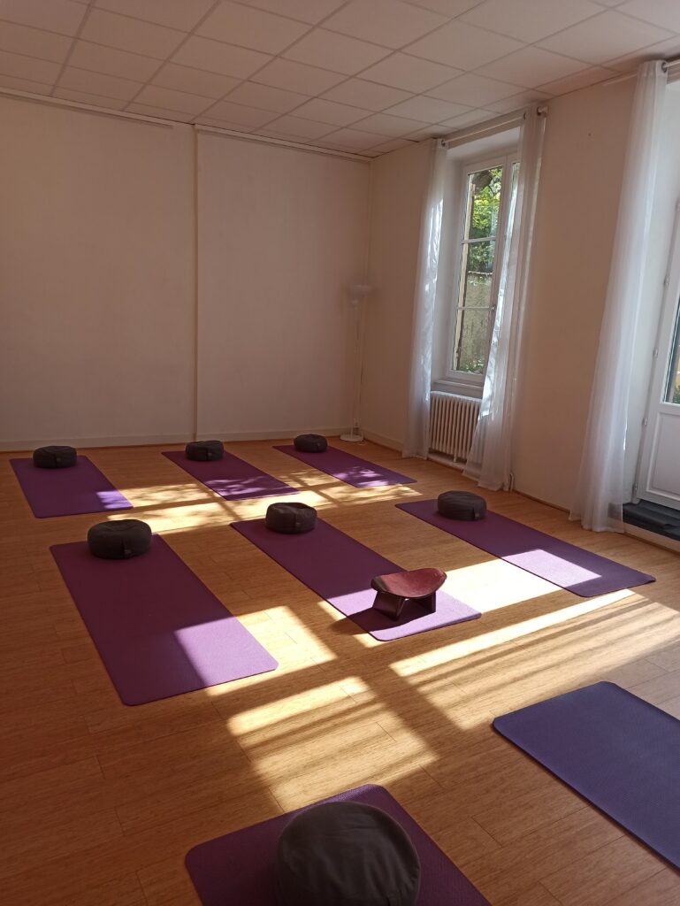 salle de yoga croix rousse