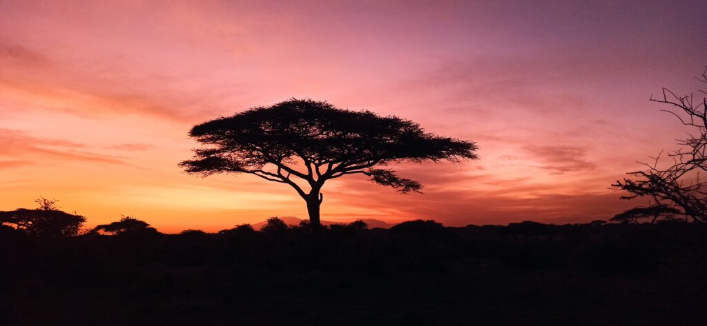 photo d'un lever de soleil en tanzanie